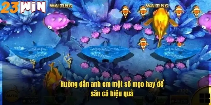 huong-dan-anh-em-mot-so-meo-hay-de-san-ca-hieu-qua